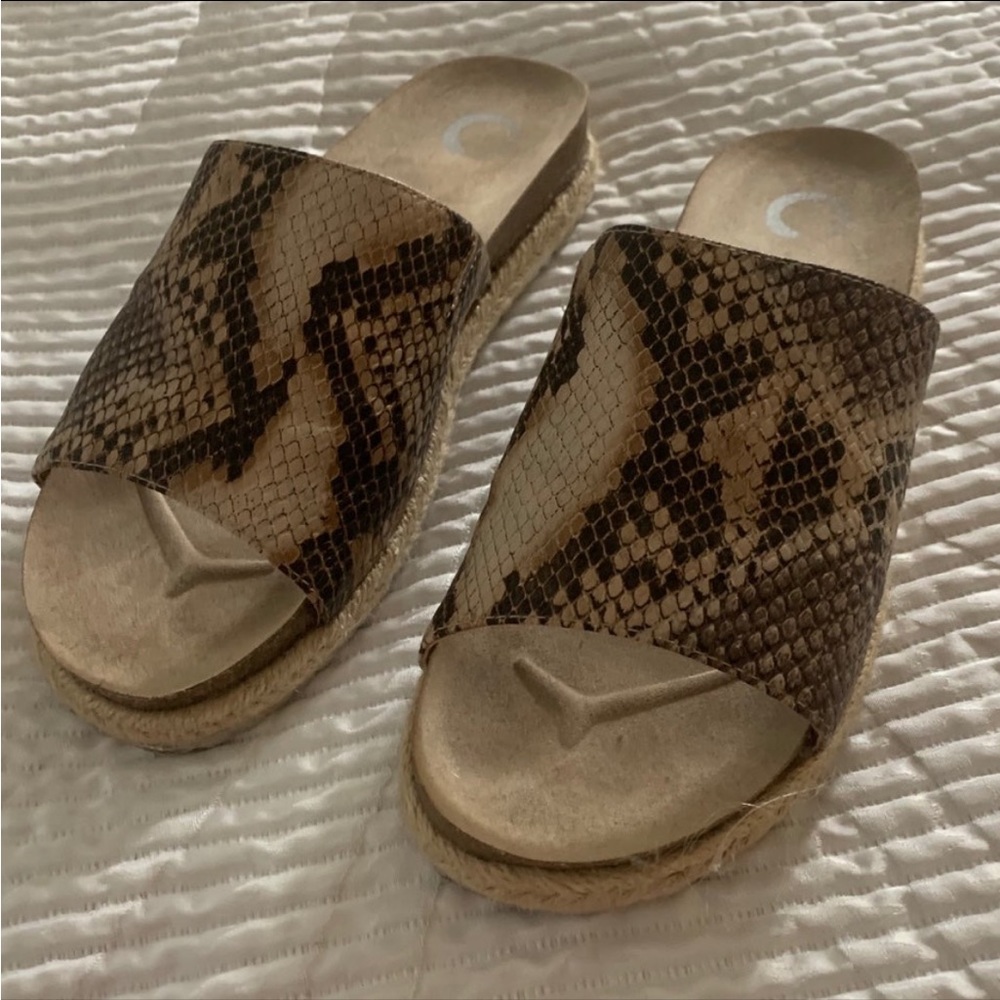 Snakeskin Slides